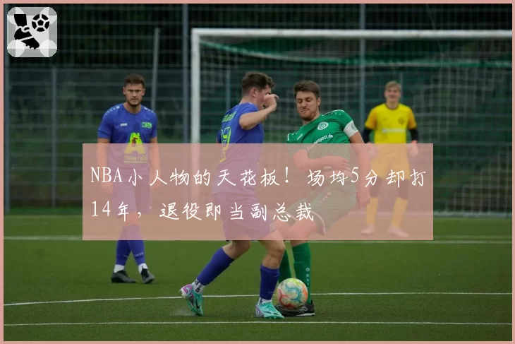 NBA小人物的天花板!场均5分却打14年,退役即当副总裁