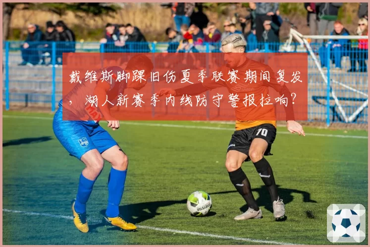 戴维斯脚踝旧伤夏季联赛期间复发，湖人新赛季内线防守警报拉响？