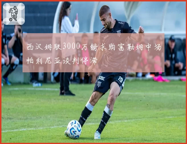 西汉姆联3000万镑求购富勒姆中场帕利尼亚谈判停滞